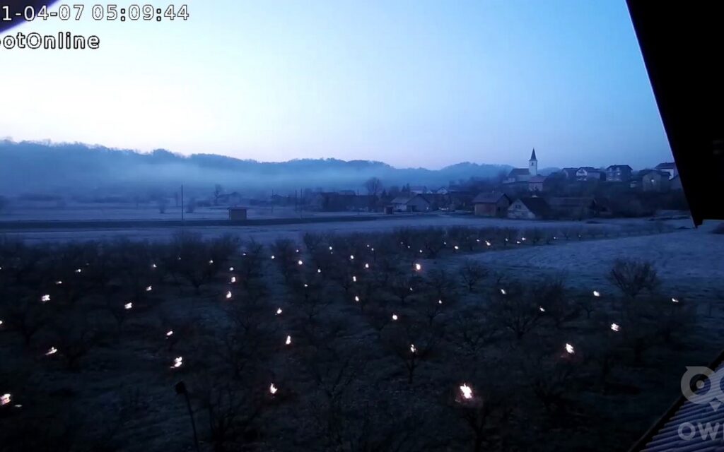 ljesnjaci-bedenikovic-ulje_11