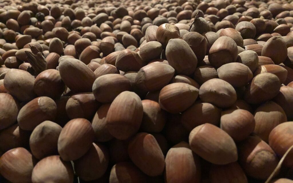 ljesnjaci-bedenikovic-ulje_3