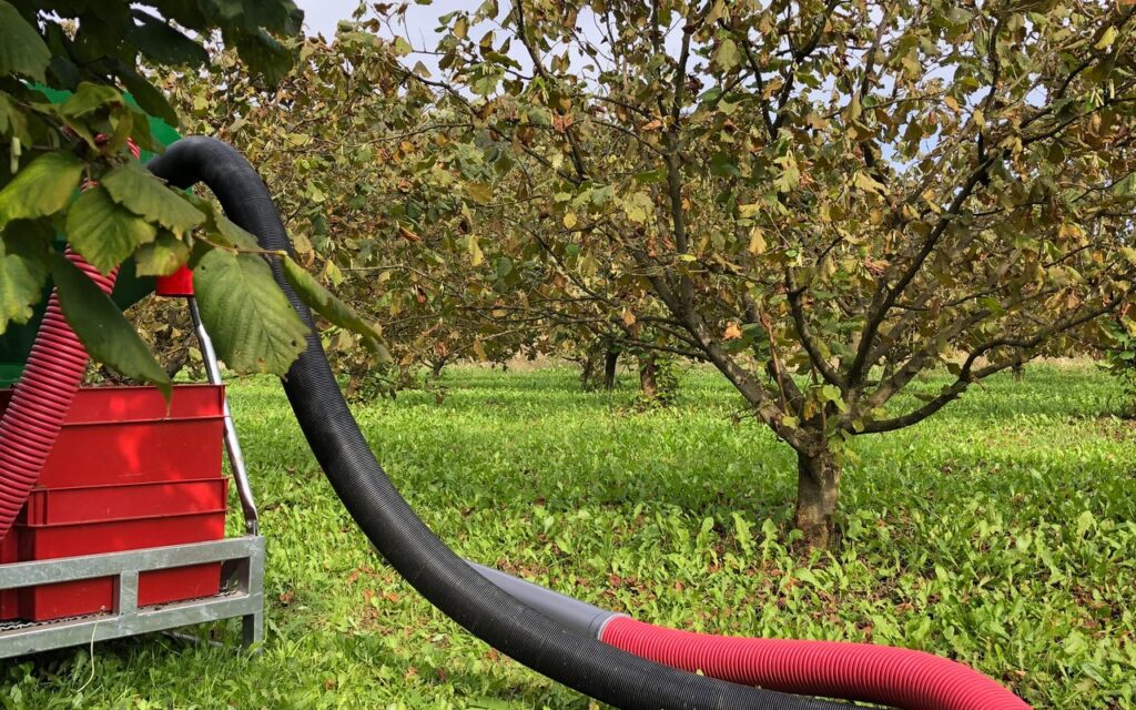 ljesnjaci-bedenikovic-ulje_7